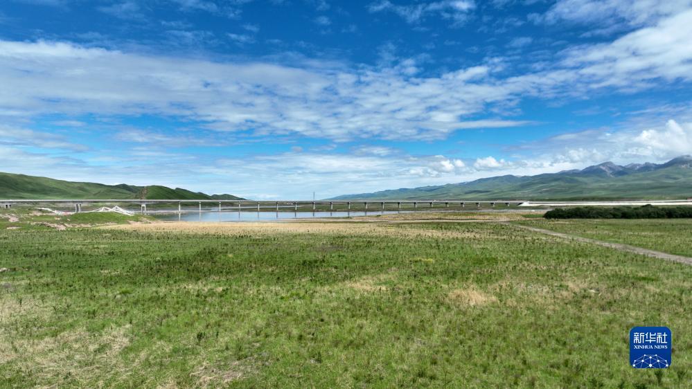 澳门旅游娱乐有限公司